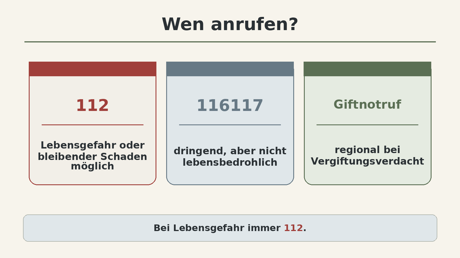 Grafik: 112 bei Lebensgefahr, 116117 für dringende nicht lebensbedrohliche Beschwerden außerhalb der Praxiszeiten, 110 Polizei, regionaler Giftnotruf bei Vergiftungsverdacht